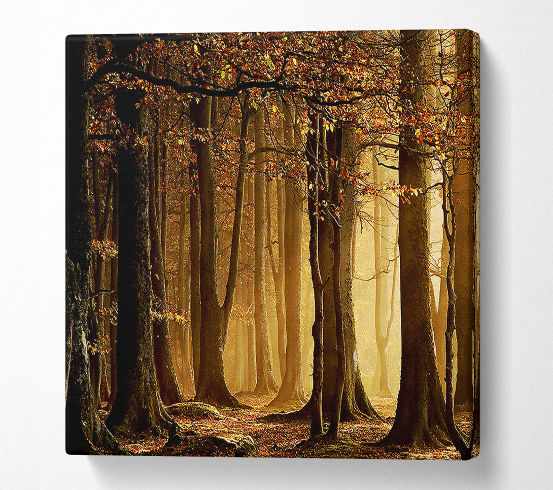  A Canvas Print of Land Of Trees Canvas Wall Art