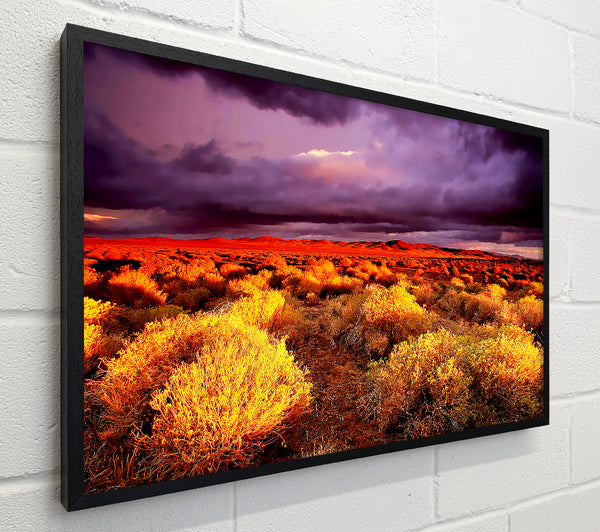 Storm Over Desert