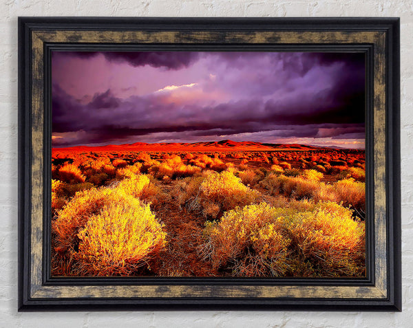 Storm Over Desert Framed Print