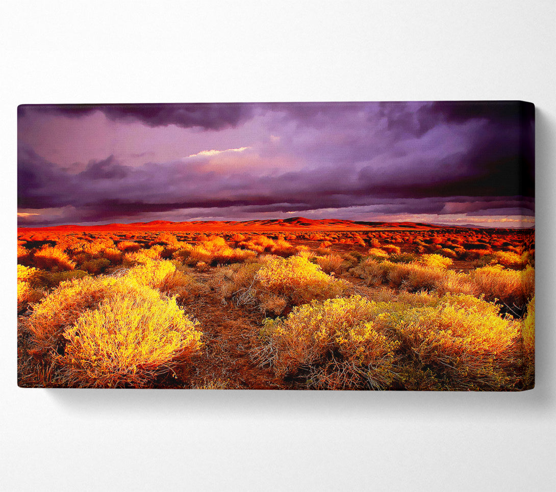  A Canvas Print of Storm Over Desert Canvas Wall Art