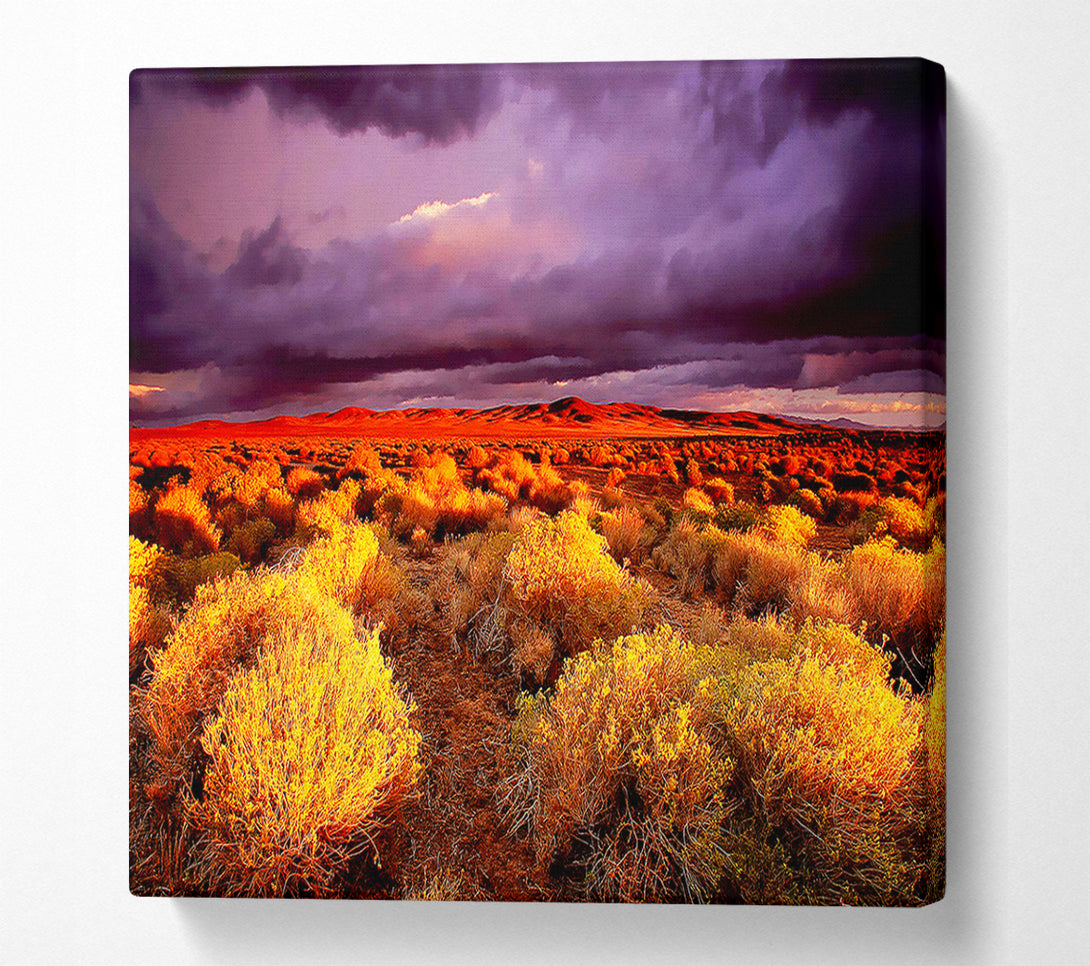  A Canvas Print of Storm Over Desert Canvas Wall Art
