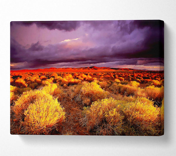 A Canvas Print of Storm Over Desert Canvas Wall Art