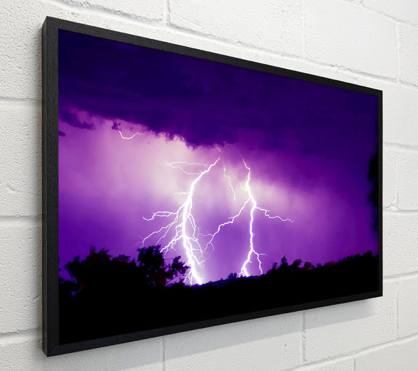 Purple Lightning Hill Tops