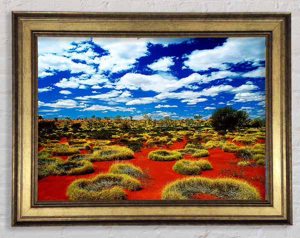 Desert Grass Framed Print