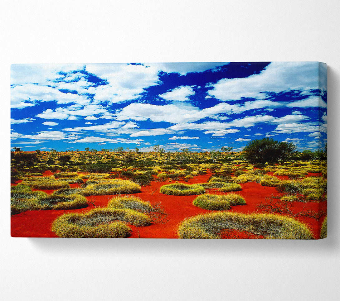  A Canvas Print of Desert Grass Canvas Wall Art