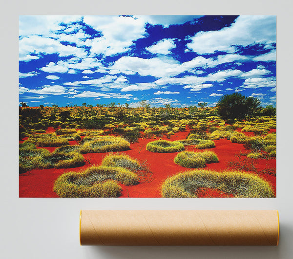 Desert Grass Poster