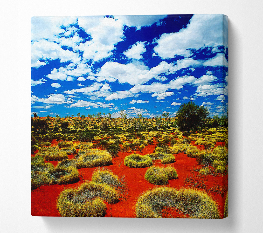  A Canvas Print of Desert Grass Canvas Wall Art
