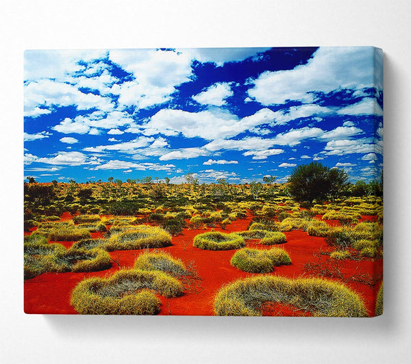  A Canvas Print of Desert Grass Canvas Wall Art