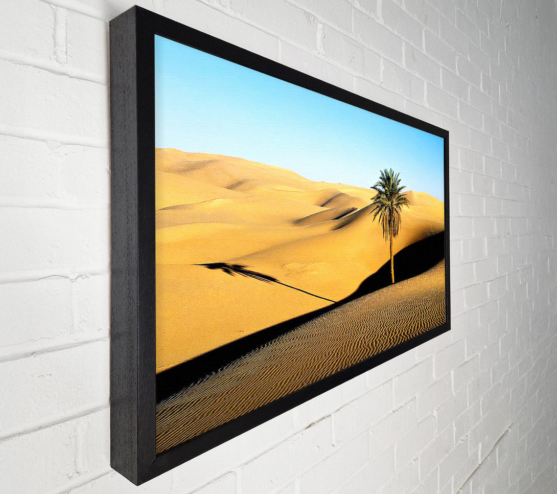  A Canvas Print of Desert Palmtree Canvas Print