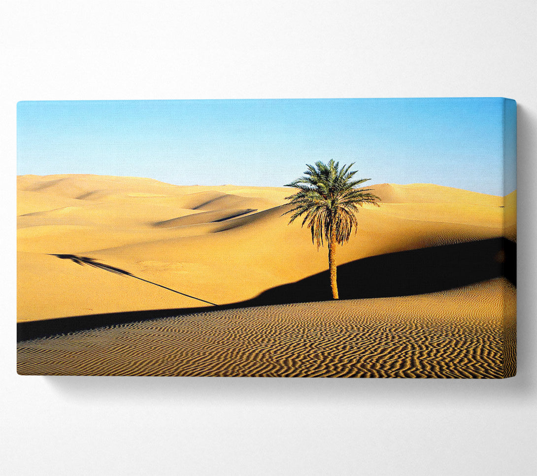  A Canvas Print of Desert Palmtree Canvas Print