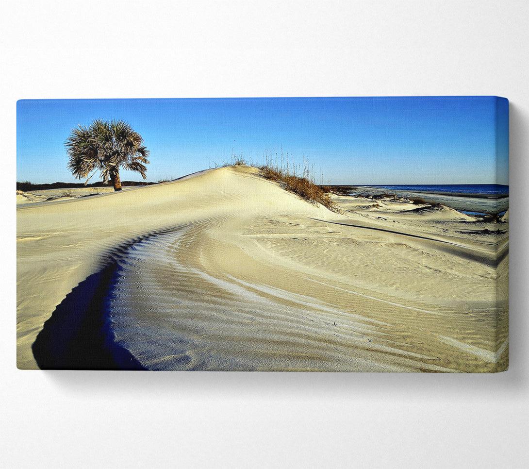  A Canvas Print of Desert Lonesome Tree Canvas Wall Art