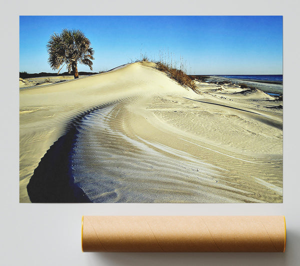 Desert Lonesome Tree Poster