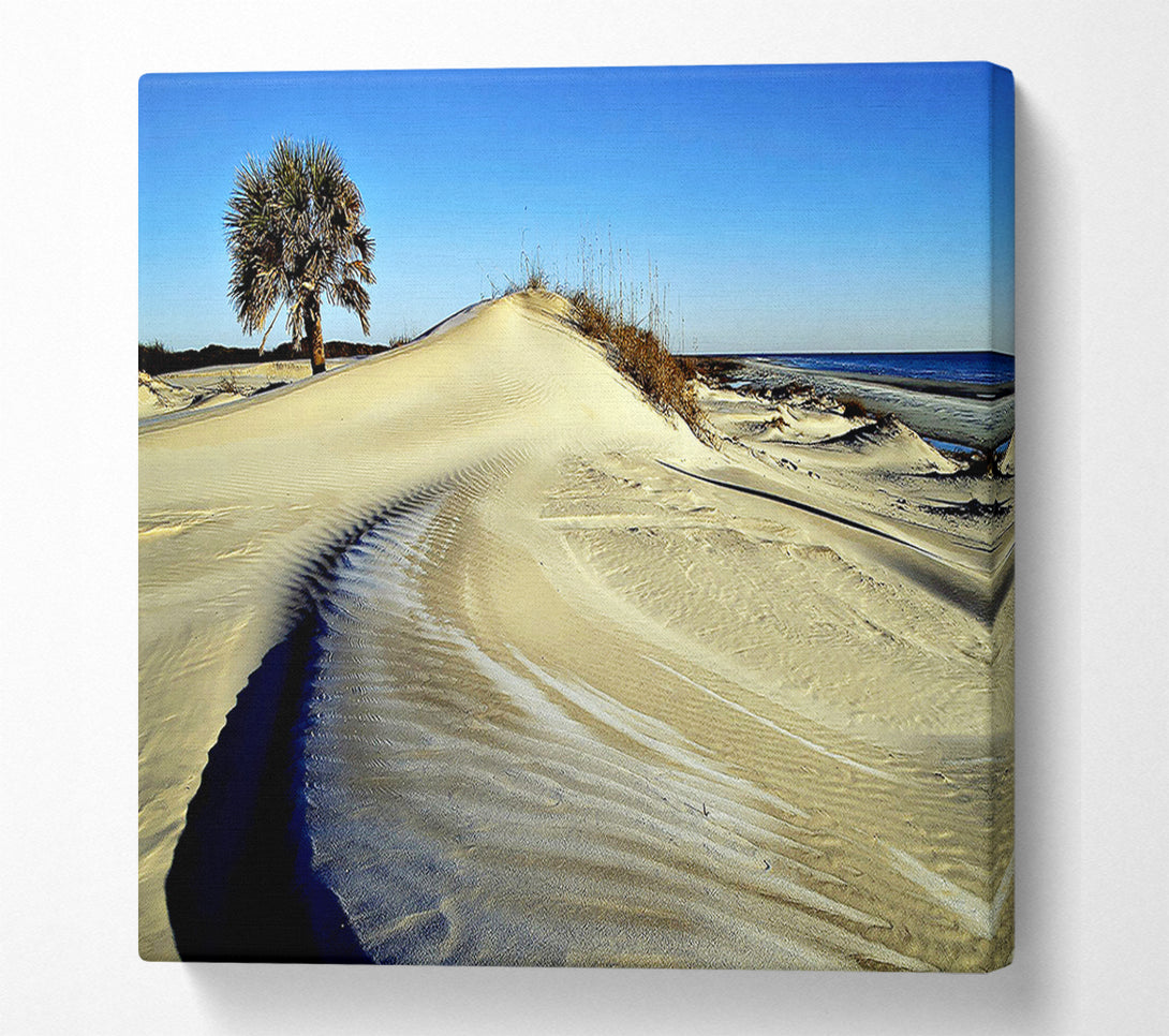  A Canvas Print of Desert Lonesome Tree Canvas Wall Art