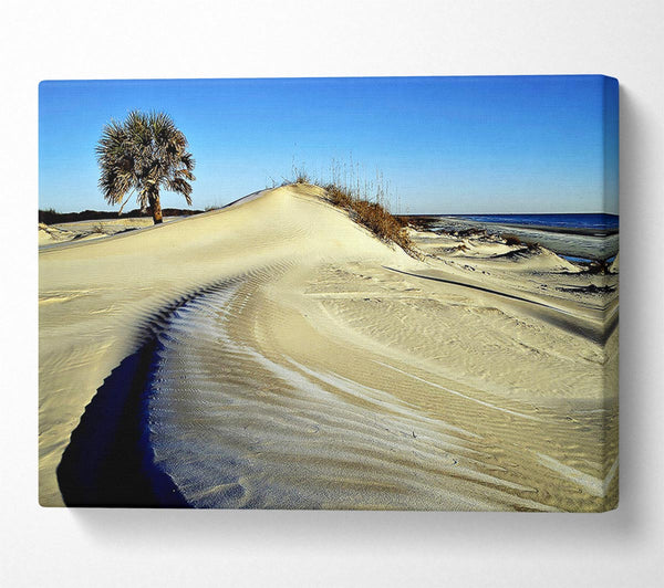  A Canvas Print of Desert Lonesome Tree Canvas Wall Art