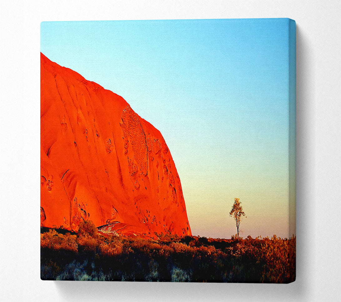  A Canvas Print of Ayres Rock Morning Glow Canvas Wall Art