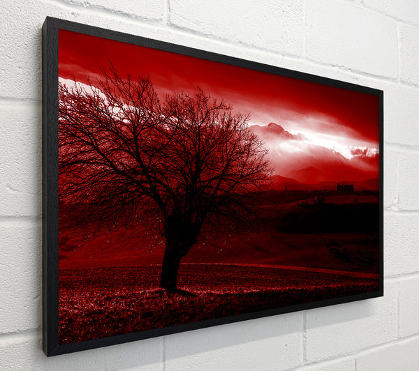 Yorkshire Dales Red