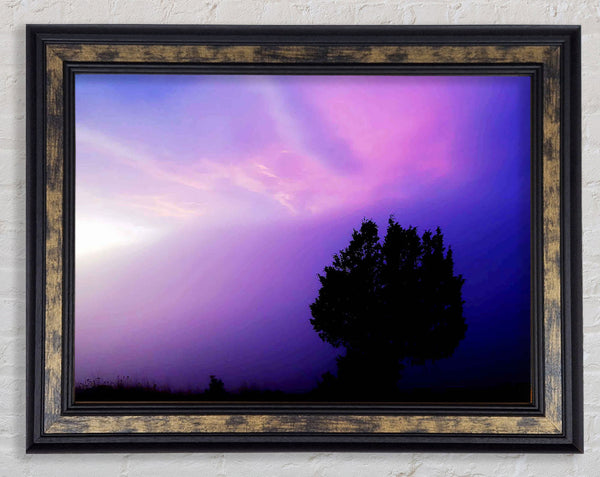 Lilac Tree Light Framed Print