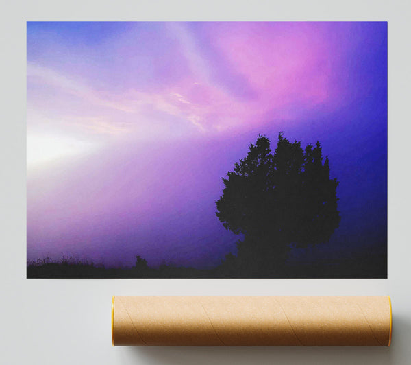 Lilac Tree Light Poster