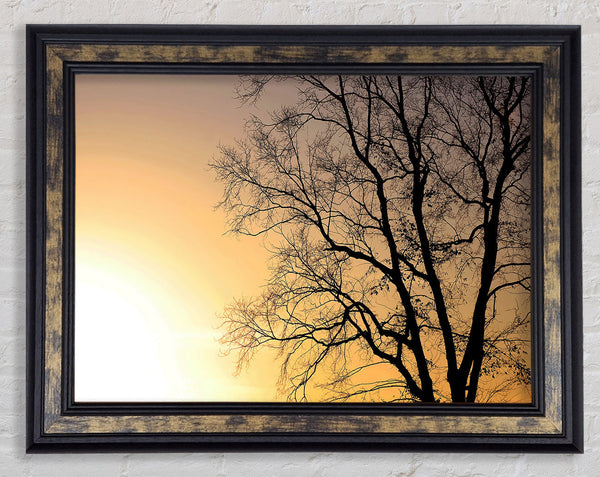 Calm Winter Sun Framed Print