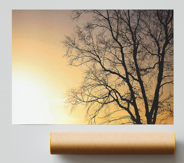 Calm Winter Sun Poster