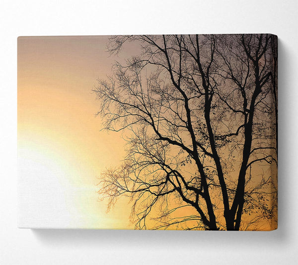  A Canvas Print of Calm Winter Sun Canvas Print