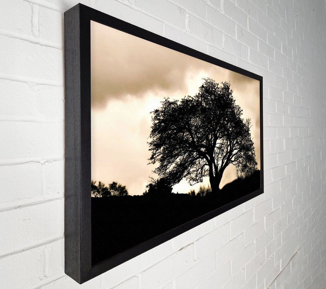  A Canvas Print of Tree In First Light Canvas Art