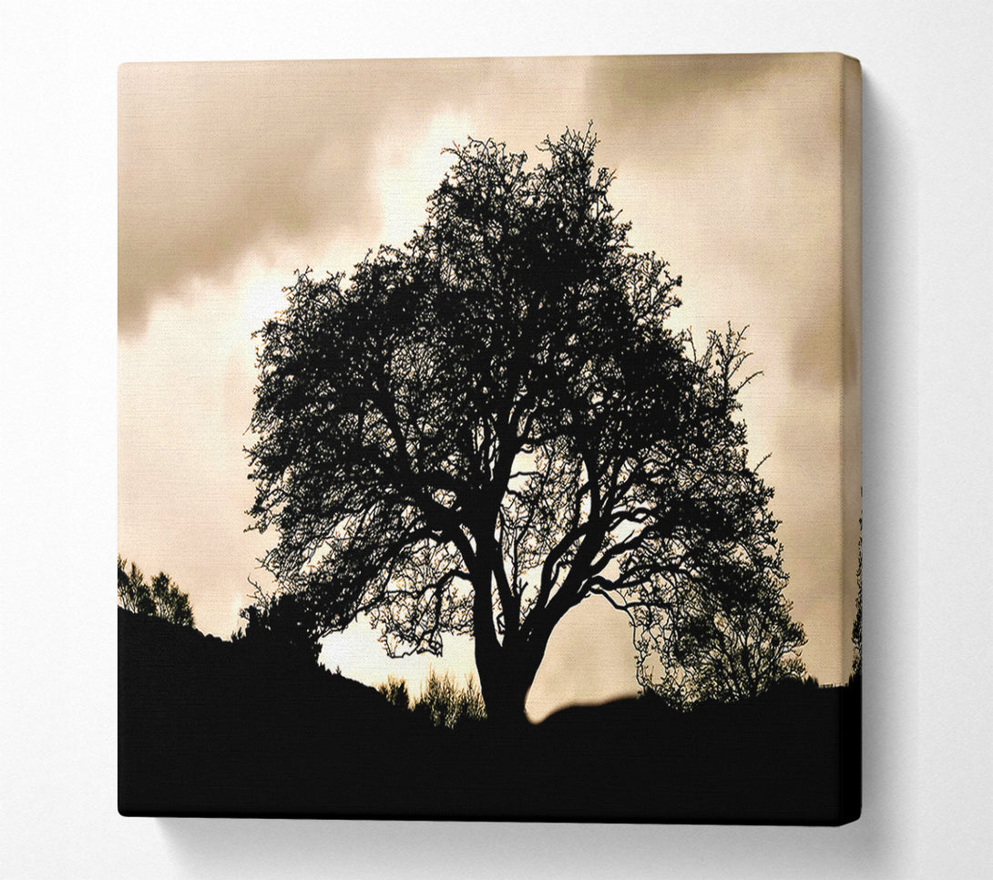 A Canvas Print of Tree In First Light Canvas Art