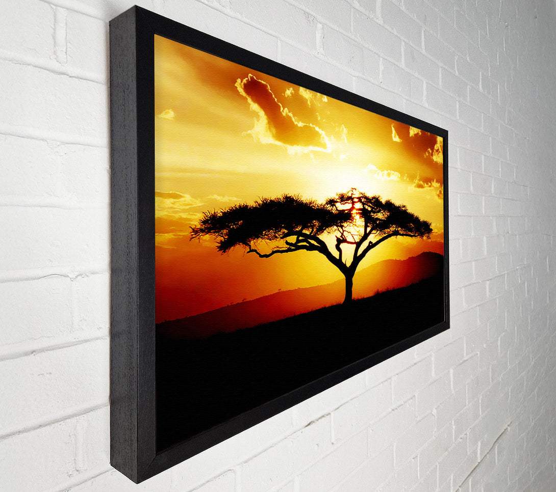  A Canvas Print of African Tree At Sunset Canvas Art