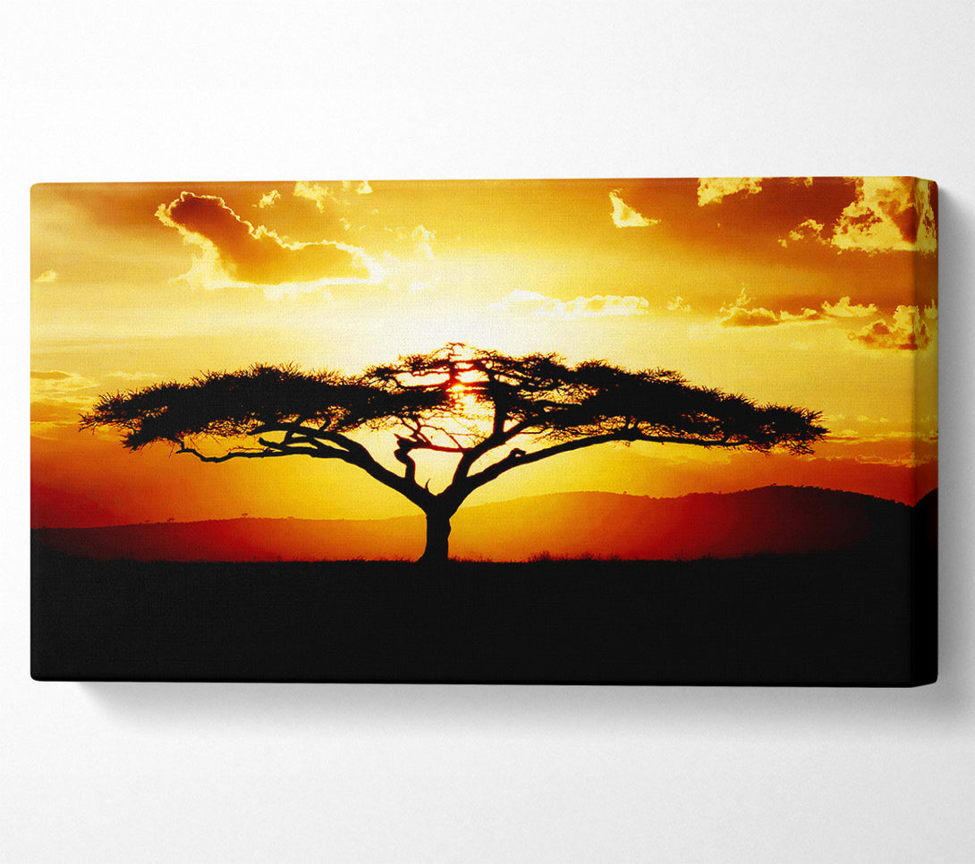  A Canvas Print of African Tree At Sunset Canvas Art