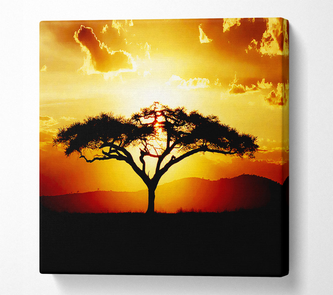  A Canvas Print of African Tree At Sunset Canvas Art