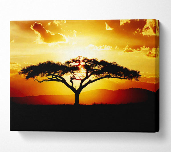  A Canvas Print of African Tree At Sunset Canvas Art