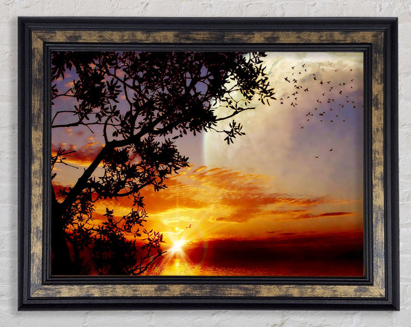 Suns First Light Framed Print
