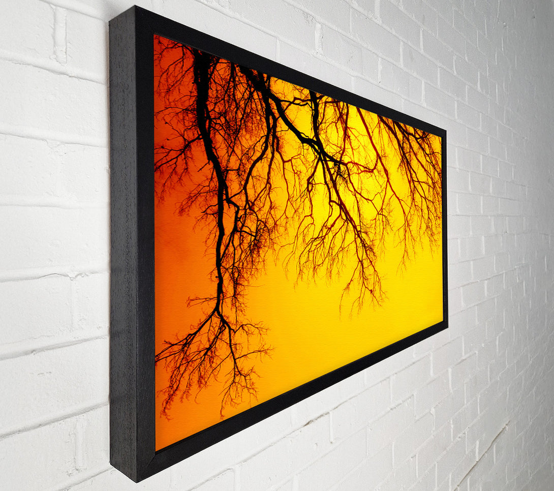  A Canvas Print of Golden Tree Branches Canvas Wall Art