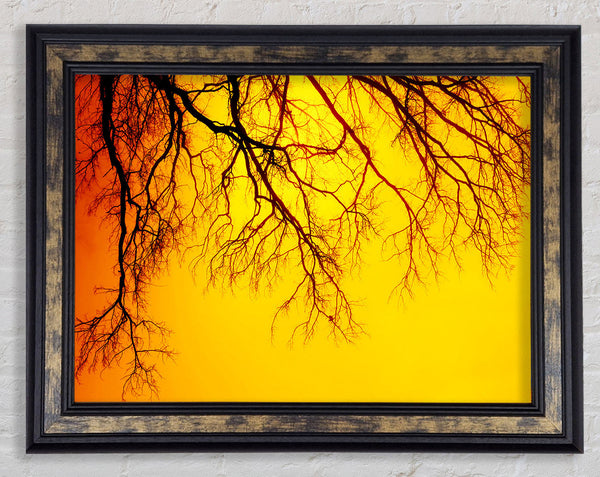 Golden Tree Branches Framed Print