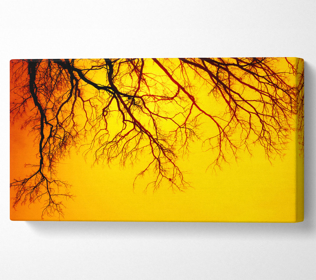  A Canvas Print of Golden Tree Branches Canvas Wall Art