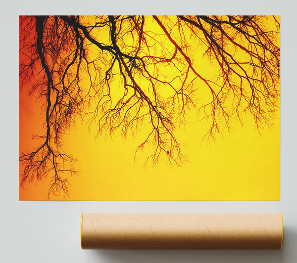 Golden Tree Branches Print