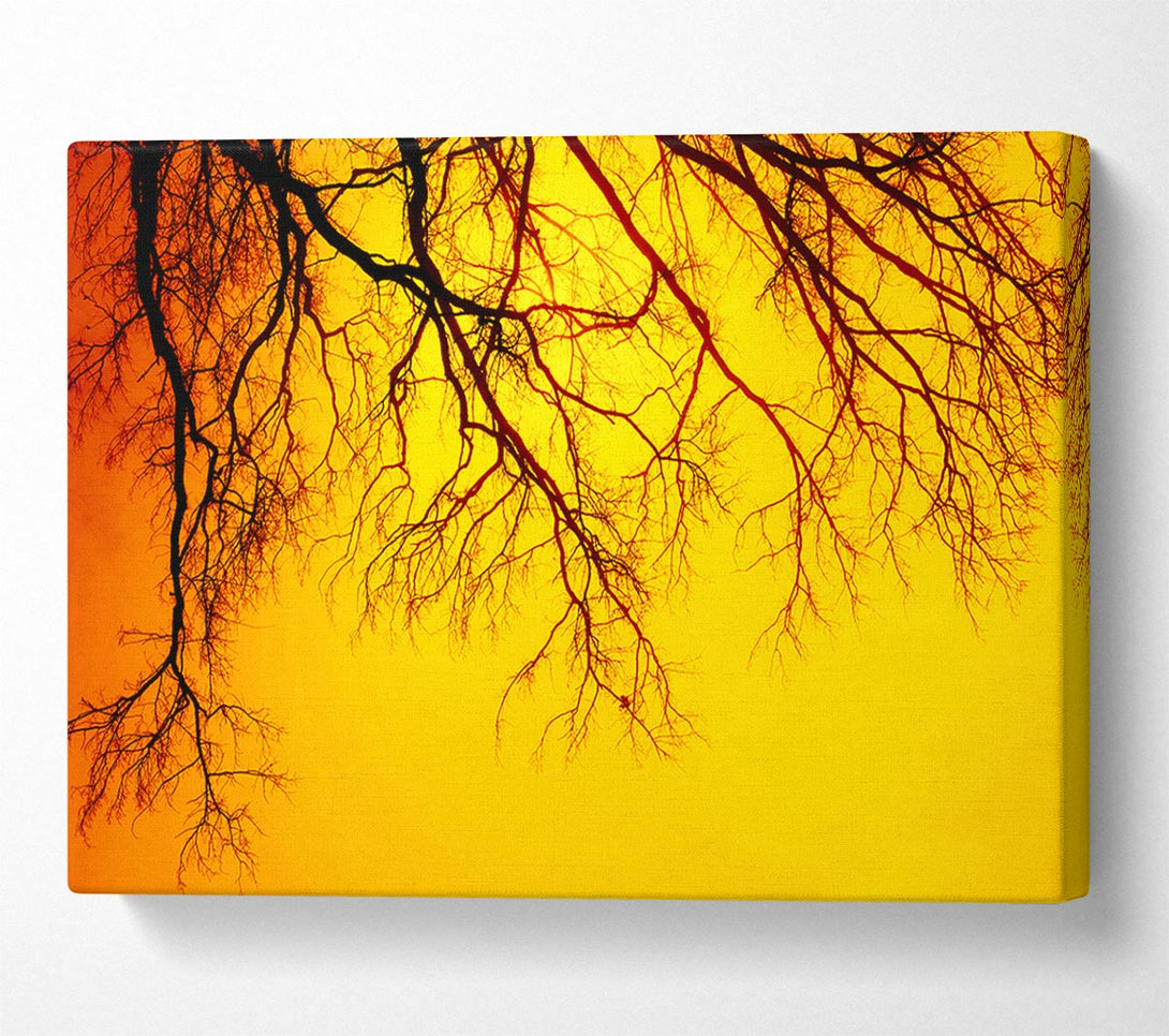  A Canvas Print of Golden Tree Branches Canvas Wall Art