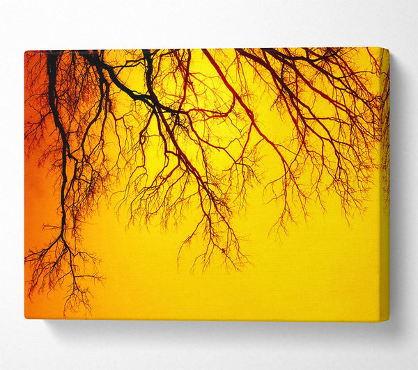  A Canvas Print of Golden Tree Branches Canvas Wall Art
