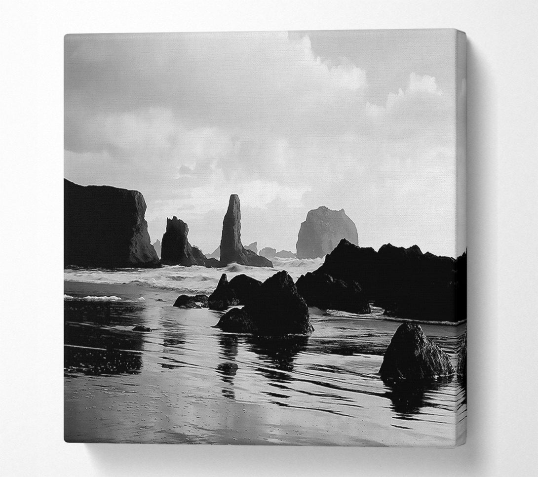  A Canvas Print of The Oceans Architect B n W Canvas Print