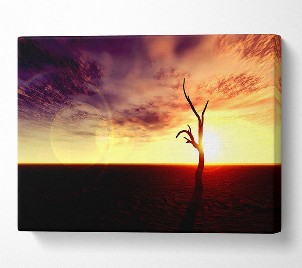  A Canvas Print of Oceans Driftwood Canvas Art