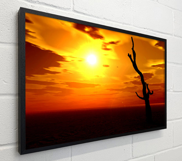 Tree Of The Desert Sun