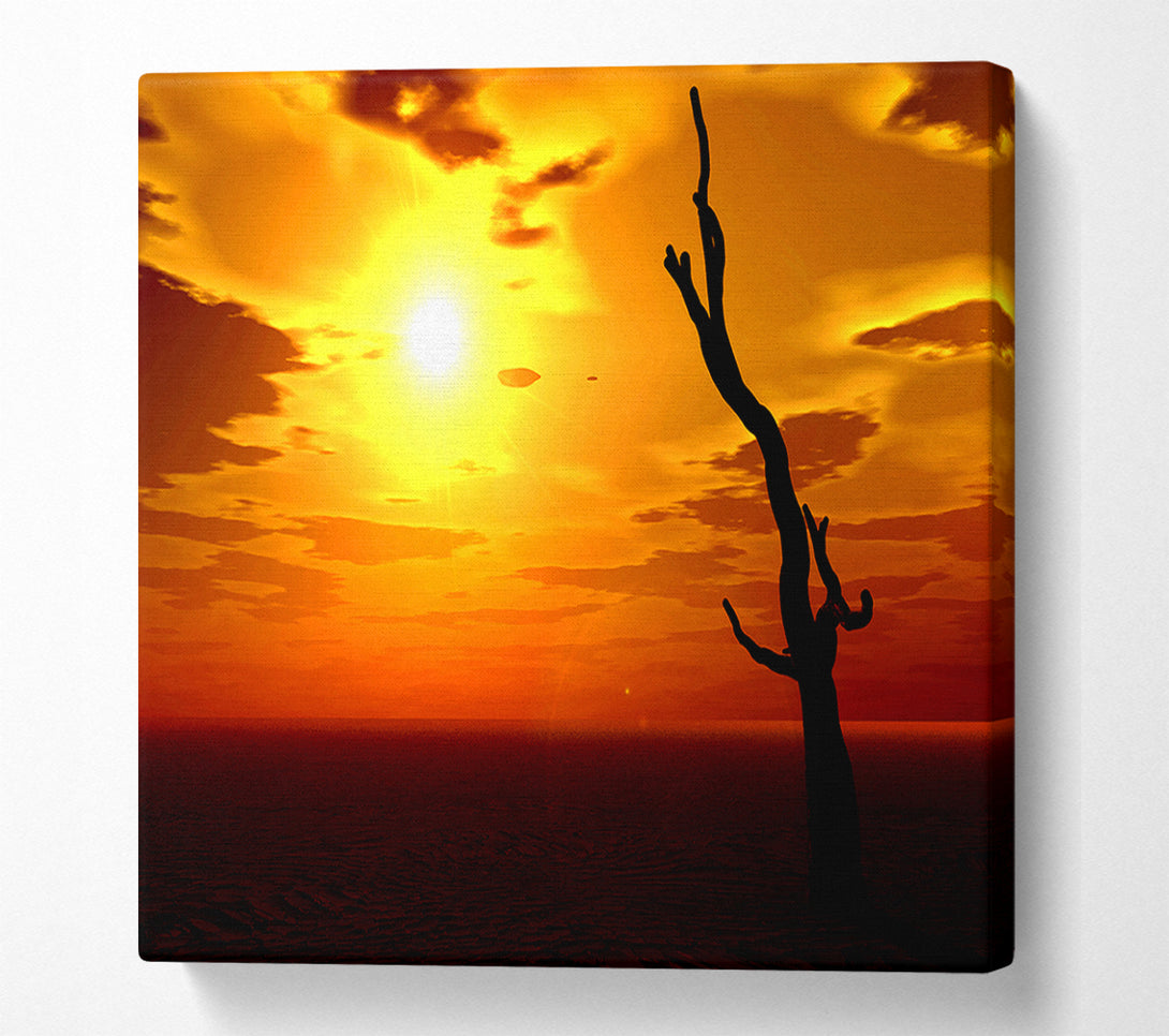  A Canvas Print of Tree Of The Desert Sun Canvas Print