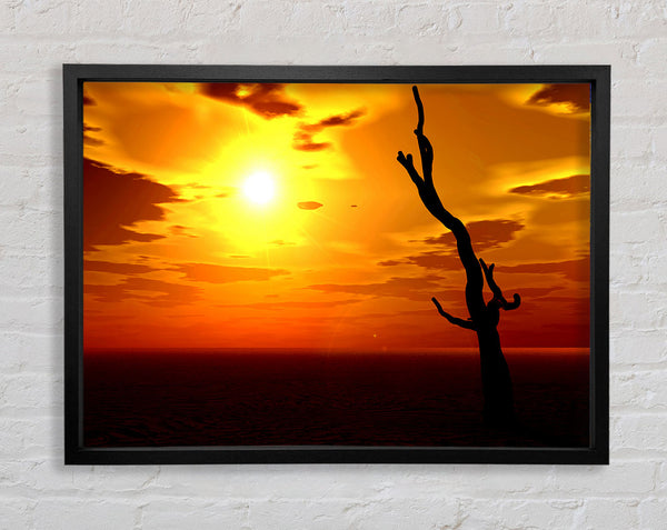 Tree Of The Desert Sun Framed Print
