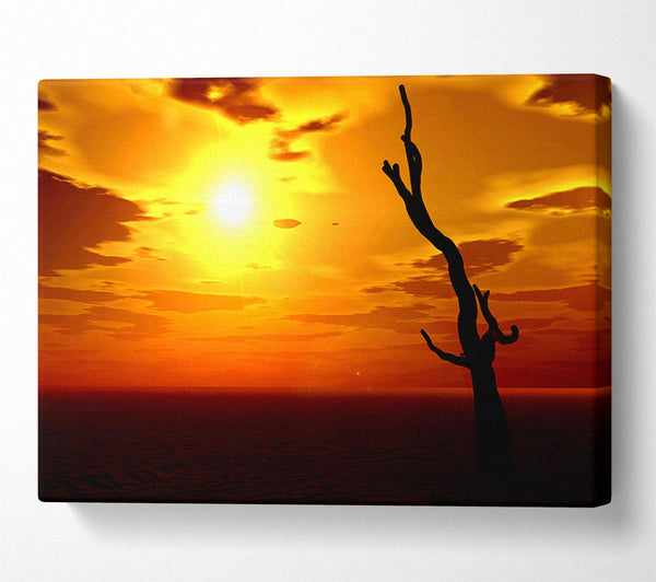  A Canvas Print of Tree Of The Desert Sun Canvas Print