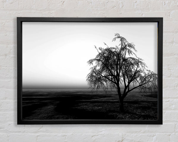 The Way The Wind Blows B n W Framed Print