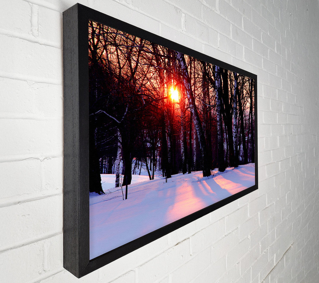  A Canvas Print of Winter Woodland Sun Canvas Art