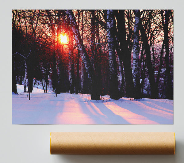 Winter Woodland Sun Giclee Print