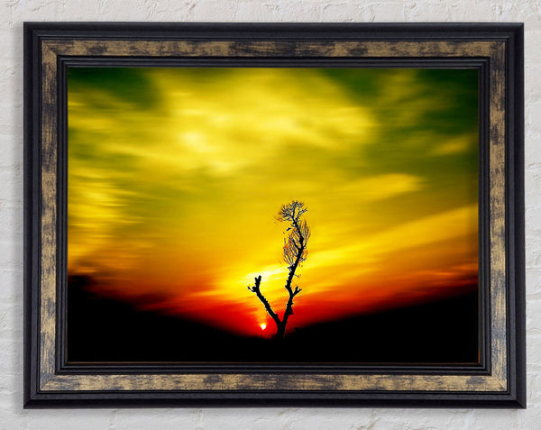 Stunning Sky Delight Framed Print