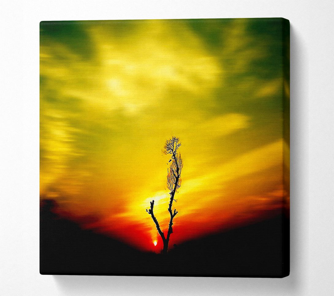  A Canvas Print of Stunning Sky Delight Canvas Print