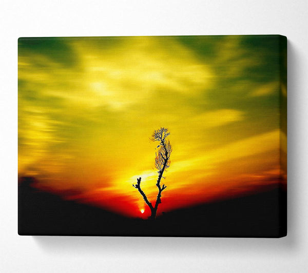  A Canvas Print of Stunning Sky Delight Canvas Print